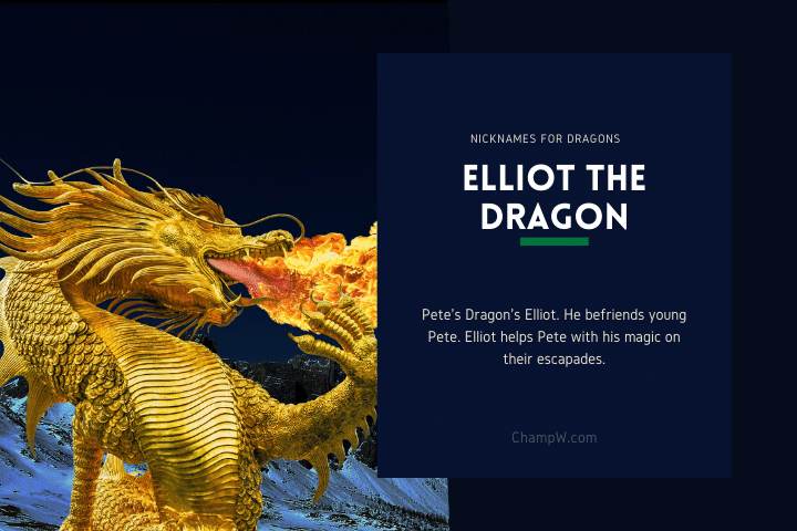 Elliot the Dragon