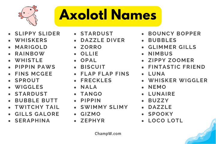 125+ Jaw-dropping Axolotl Names For Your Fun-loving Friend