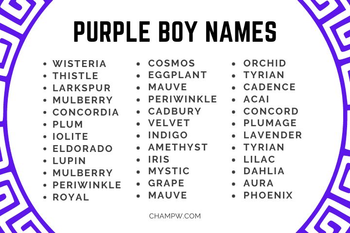 BOY PURPLE NAMES