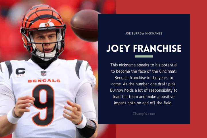 Joey Franchise