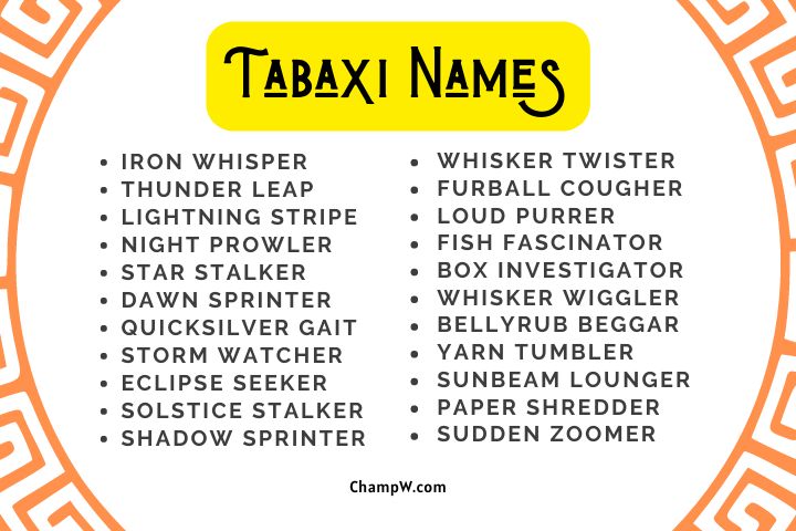 Tabaxi Names