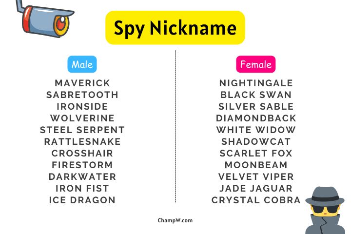 Top 100 Mysterious Spy Nickname For Your Inner Secret Agent