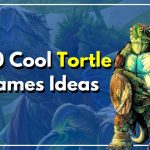 Top 50 Tortle Names: Dive Into Whimsical World Of DnD