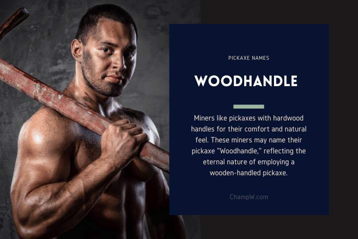 Woodhandle
