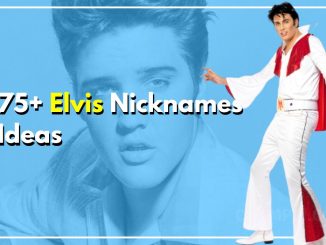 75+ Elvis Nicknames: From Memphis Mystery to Vegas Vibe