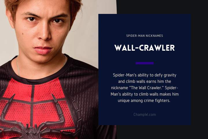 Wall-Crawler