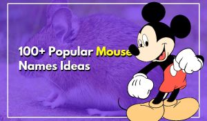 100+ Popular Mouse Names So Perfect, Even Cats Approve!