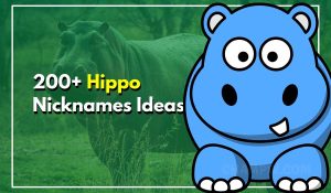 200+ Hippo Nicknames That Will Make You Smile