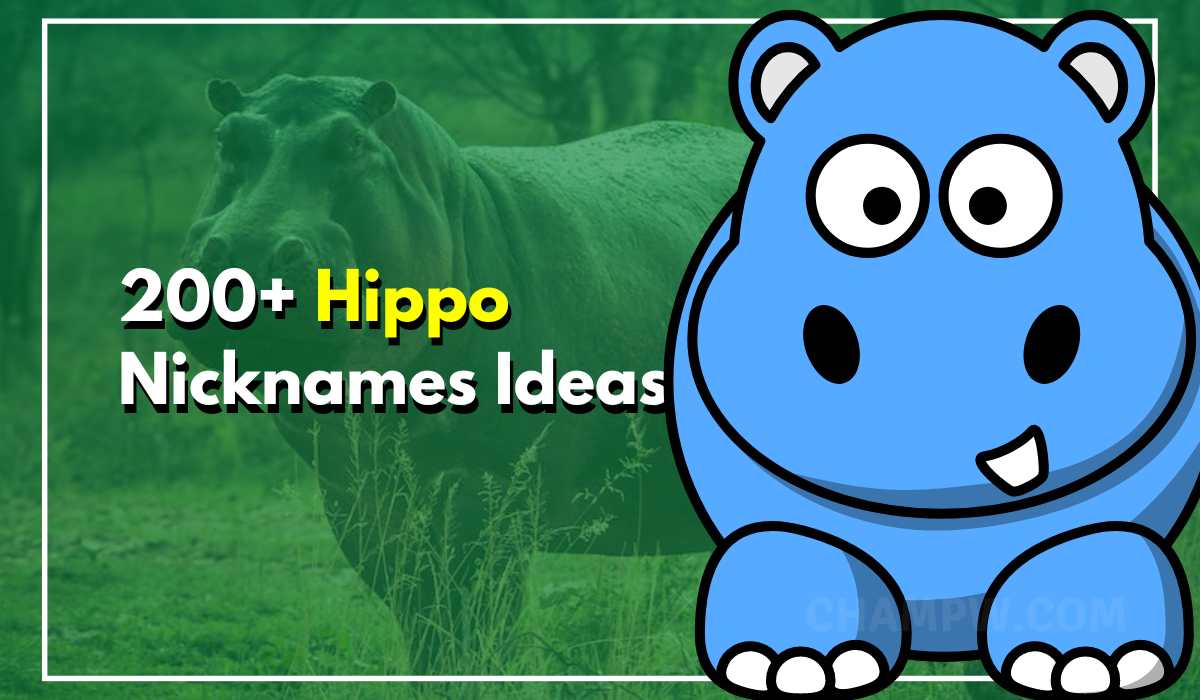 200+ Hippo Nicknames That Will Make You Smile