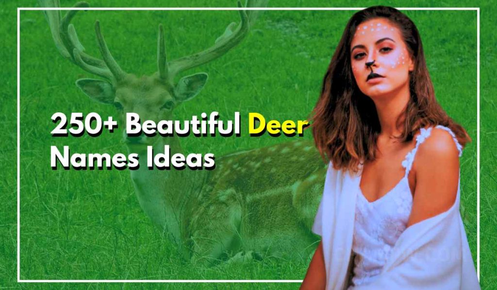 250+ Beautiful Deer Names Ideas For Your Wild or Pet Friend