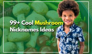 99+ Cool Mushroom Nicknames You Need to Know