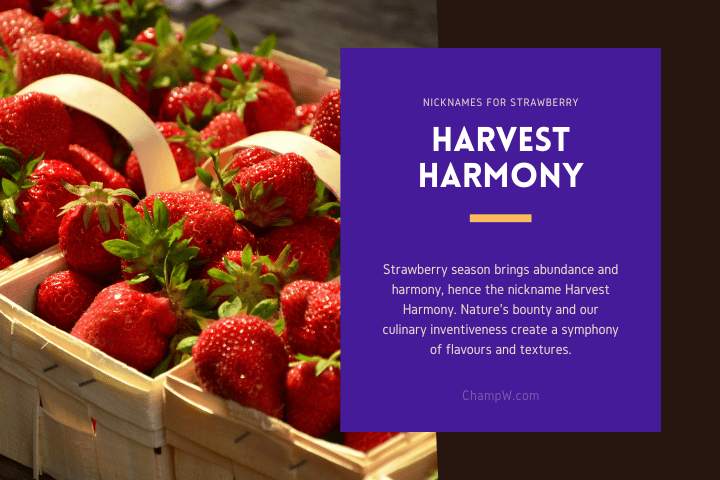 Harvest Harmony