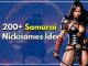 200+ Samurai Nicknames Ideas For Strong Warriors Only