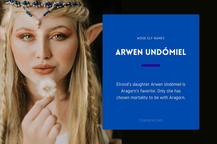 Arwen Undómiel