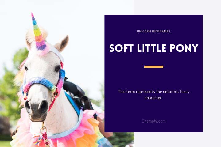 Soft Little Pony