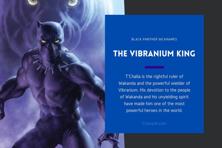 The Vibranium King