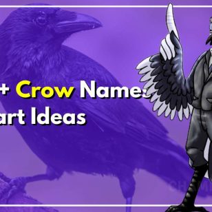 Top 100+ Crow Names To Capture Spirit Of Intelligent Friends