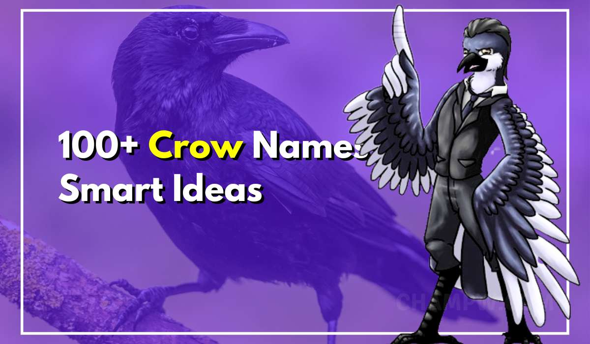 Top 100+ Crow Names To Capture Spirit Of Intelligent Friends