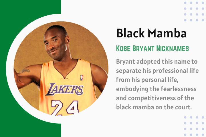 Kobe Bryant Black Mamba Nicknames Meaning