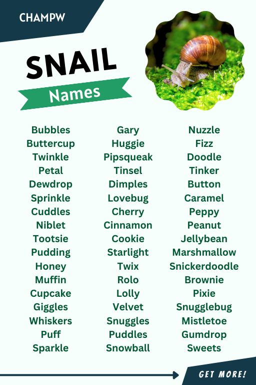 List Of Snail Names