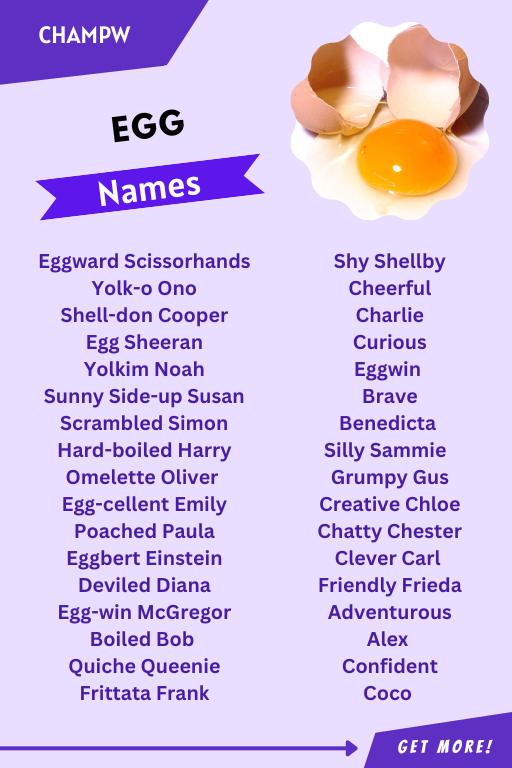 Cracking The Code Of Egg Names: 150+ Ideas
