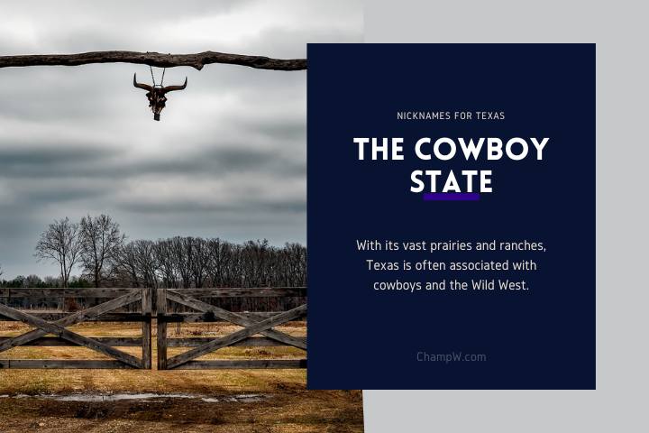 The Cowboy State