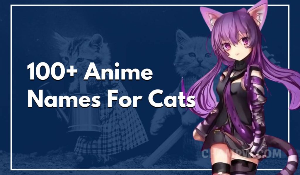 100 Anime Names For Cats For Your Pet japanese-names-for-cats-learn-the-perfect-monikers-for-41-off