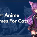 100+ Anime Names For Cats