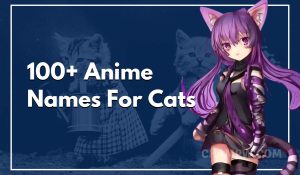 100+ Anime Names For Cats