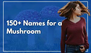 Names for a Mushroom