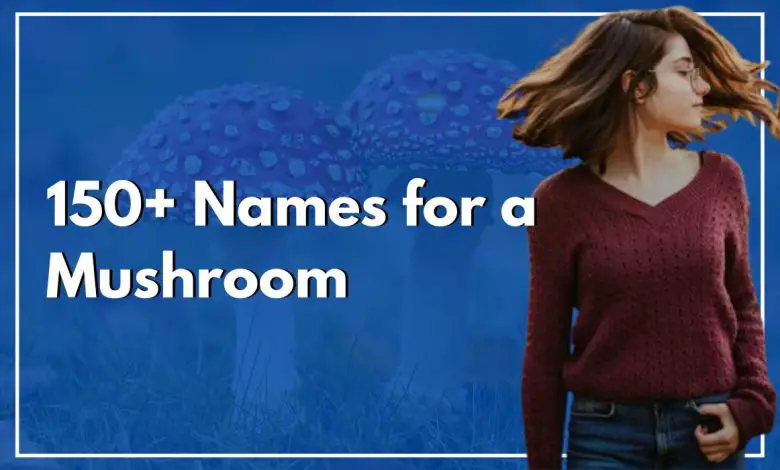 150-names-for-a-mushroom-that-are-creative