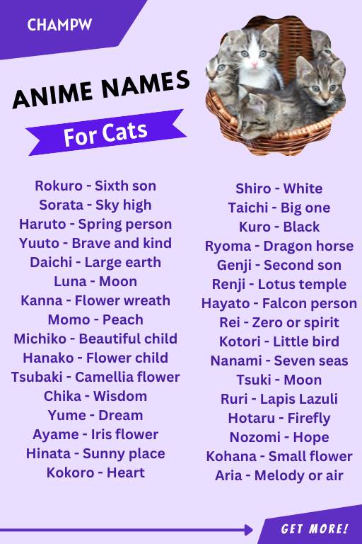 List of Anime Names For Cats