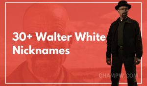 Walter White Nicknames
