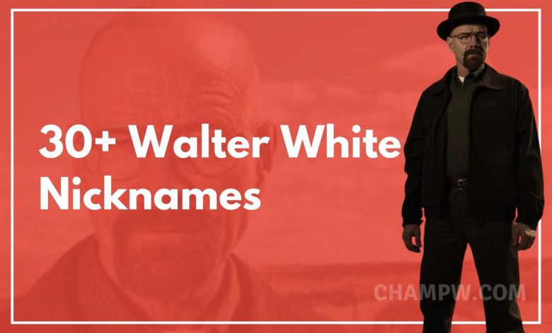 Walter White Nicknames