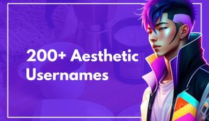 200+ Aesthetic Usernames