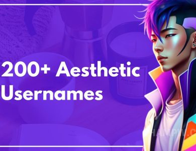 200+ Aesthetic Usernames