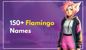 150+ Flamingo Names