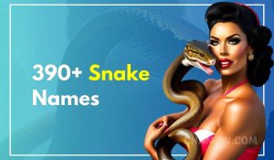 390+ Snake Names