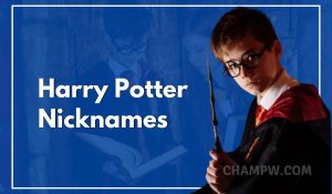 Harry Potter Nicknames