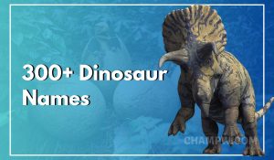 Dinosaur Names