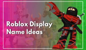 Roblox Display Name Ideas