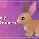 Bunny Nicknames