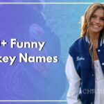 200+ Funny Turkey Names