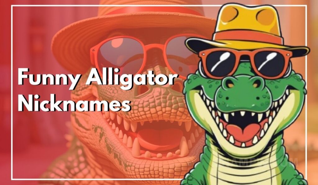 300+ Funny Alligator Nicknames for Pets or Characters
